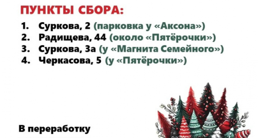 В Рыбинске пройдет сбор новогодних елок на переработку