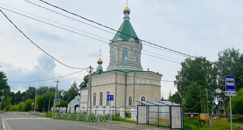 Рыбинские НКО получили президентские гранты на иппотерапию и борьбу с зависимостями