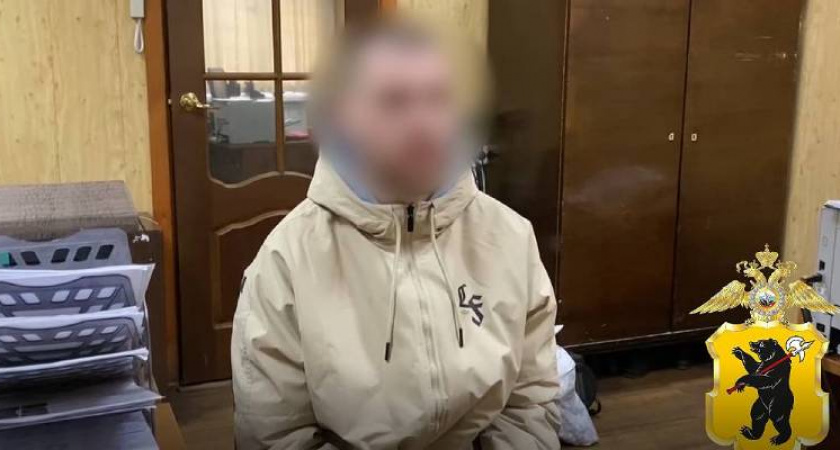 Житель Череповца задержан за нанесение рекламы наркотиков на 60 фасадов в Рыбинске