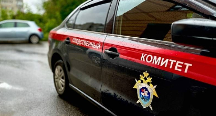 Бастрыкин поручил возобновить дело о разбитой дороге между Тихменево и двумя деревнями