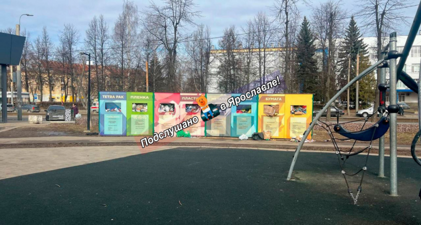 Ярославцы в шоке: Юбилейный парк зарастает мусором