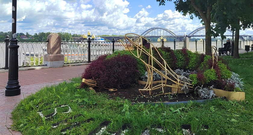 В Рыбинске высадили треть от запланированных 100 тысяч цветов