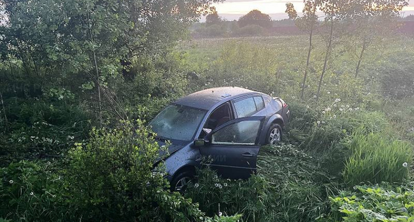 В Рыбинске автомобиль Renault съехал в кювет, есть пострадавшие