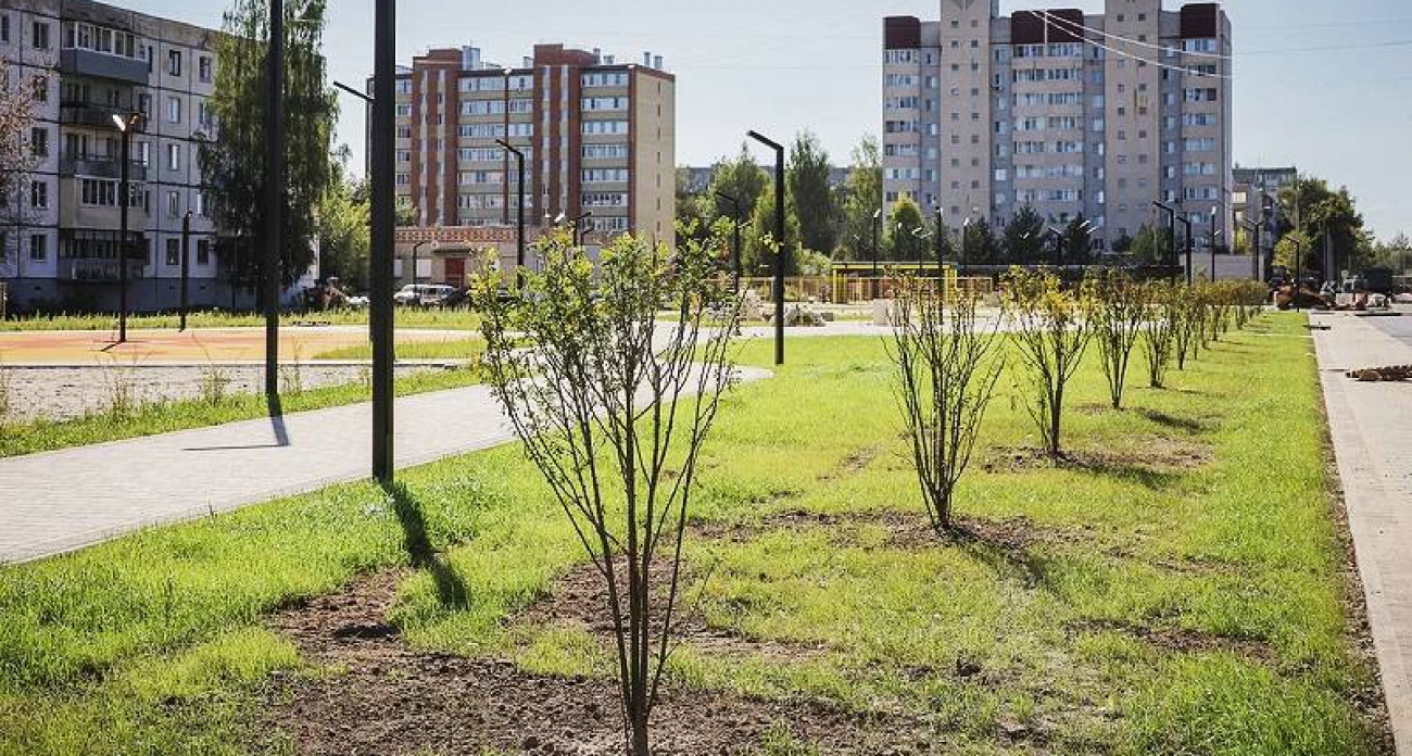 В Рыбинске назначили дополнительные выборы депутата по 8 округу