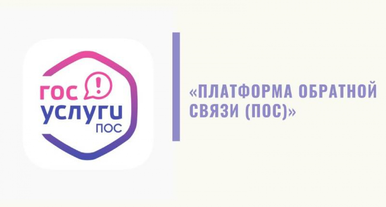 Платформа обратной связи через Госуслуги: как граждане получили прямую линию к власти