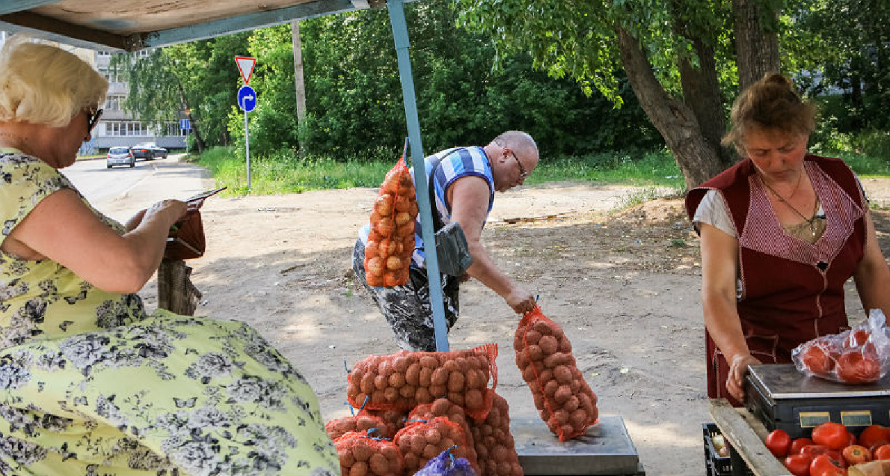 Картофель рухнул на 15% в Ярославской области: дачники обвалили цены на овощи