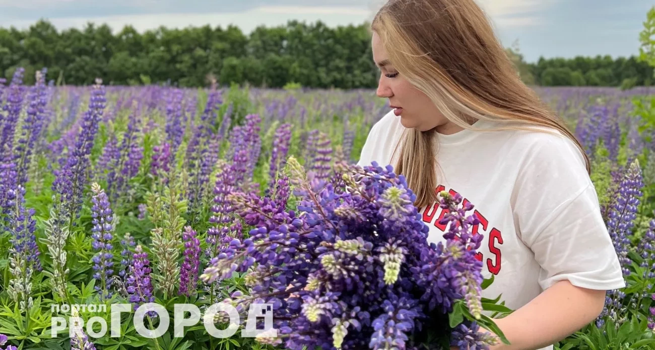 Тельцы получат всё, как только отпустят контроль — а Львам пора показать свои таланты