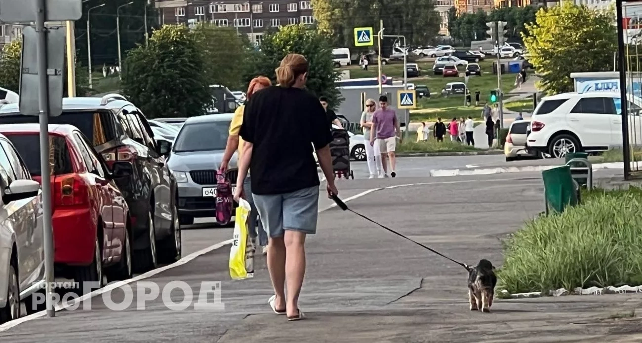 Денежный поток накроет с головой: три знака зодиака ждет богатство после 15 августа