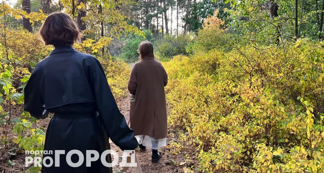 Тельцам звёзды открывают путь к деньгам, а Львов ждёт роковая встреча — чтоготовят небеса остальным знакам