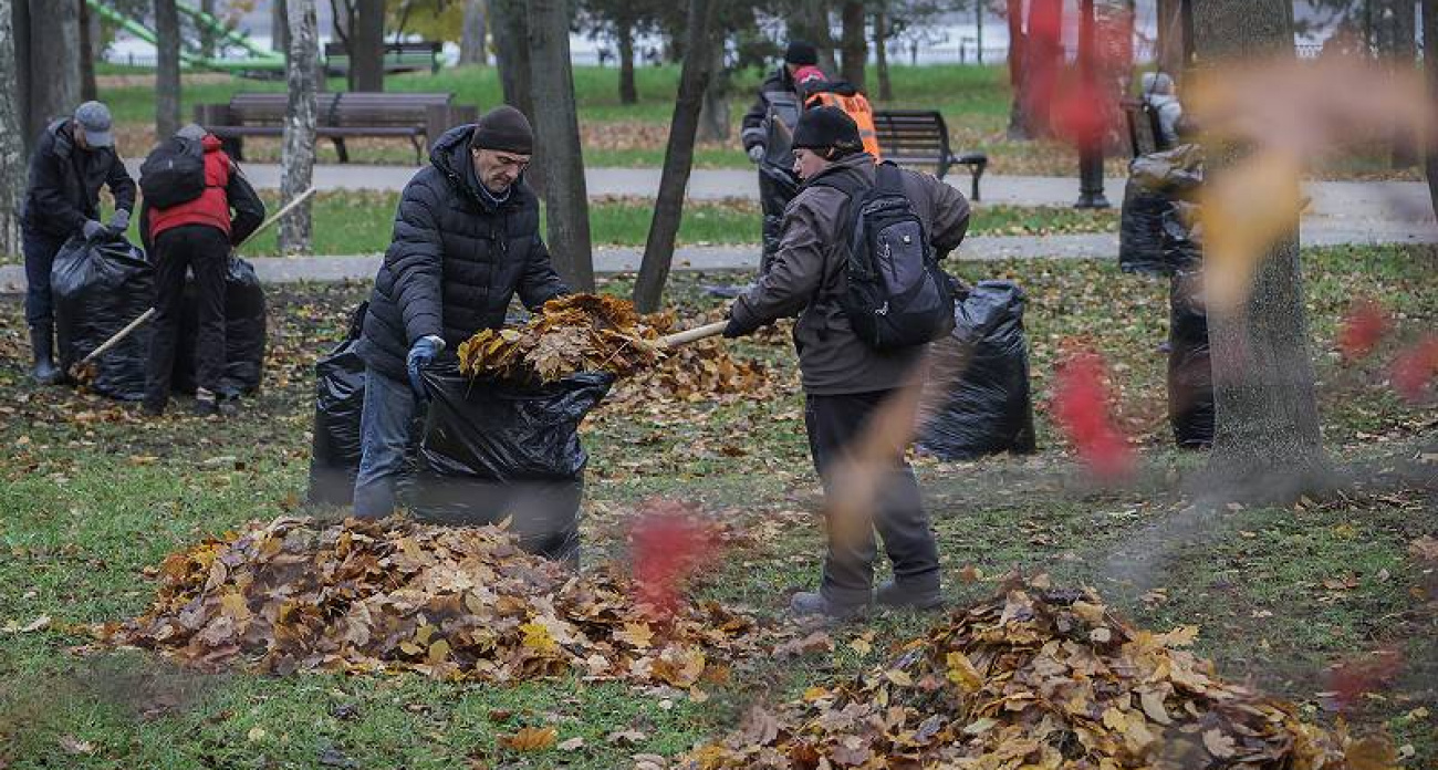 В Рыбинске до 31 октября горожане превращают опавшие листья в удобрение для клумб