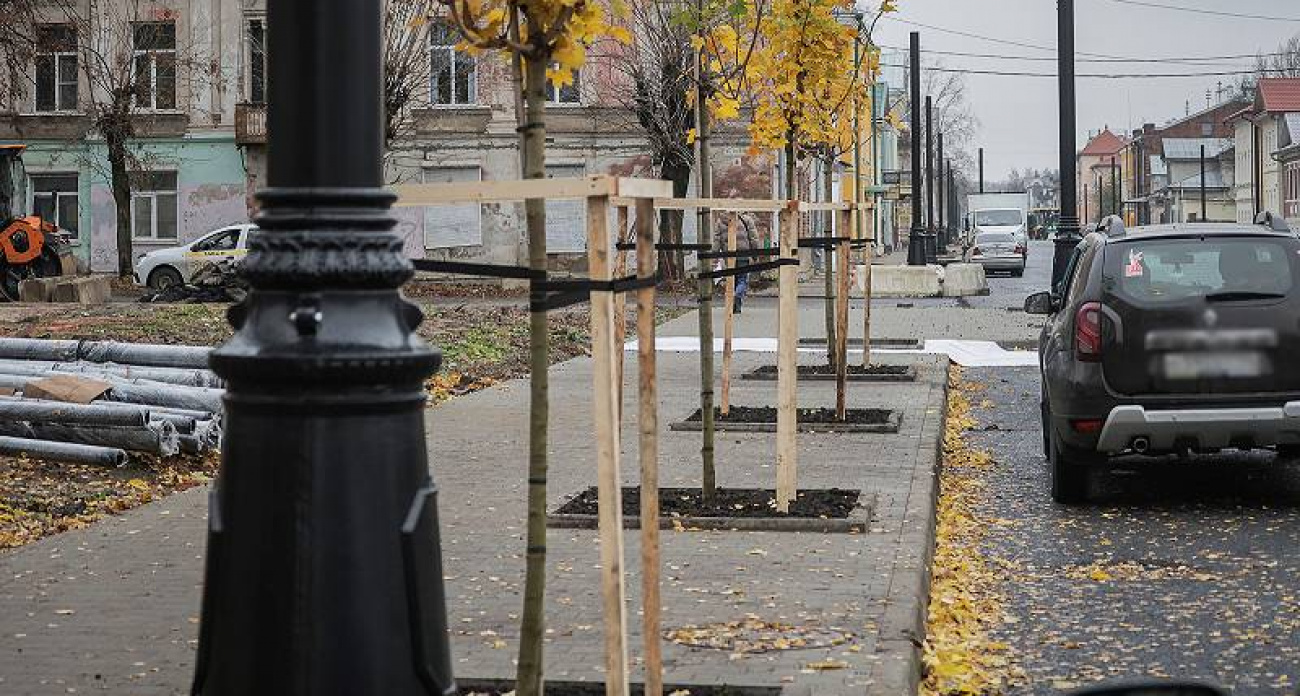 До +11° в ноябре: азиатский антициклон отодвинул зиму в Рыбинске до декабря