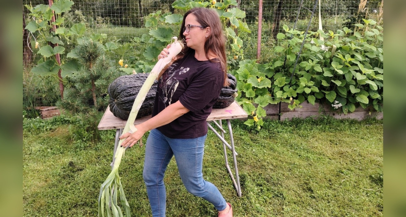 Рыбинская дачница вырастила двухметровый лук-порей