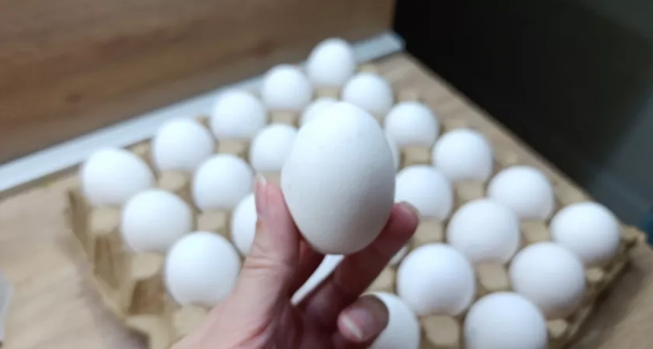 Секрет в деталях: почему продавцы птицефабрик и работники магазинов обходят стороной яйца С0 даже со скидкой