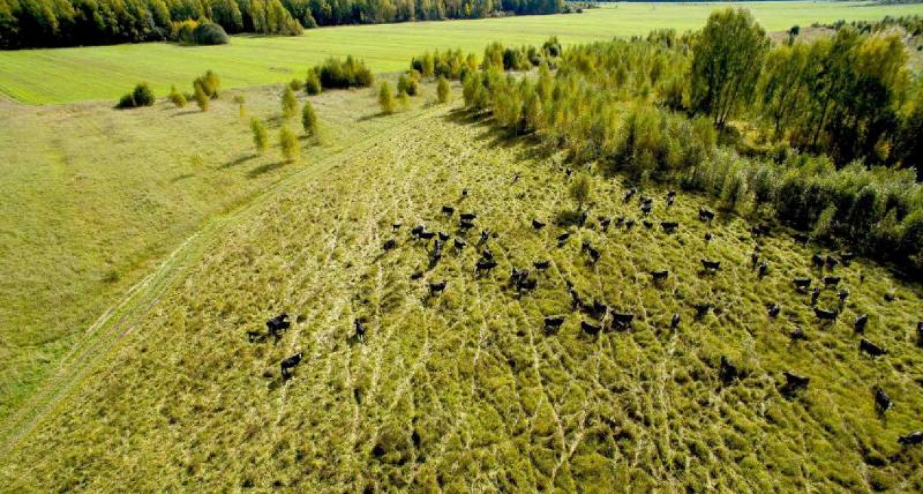 Ярославская область ворвалась в топ-5 регионов России по росту сельхозпроизводства с рекордными 7%