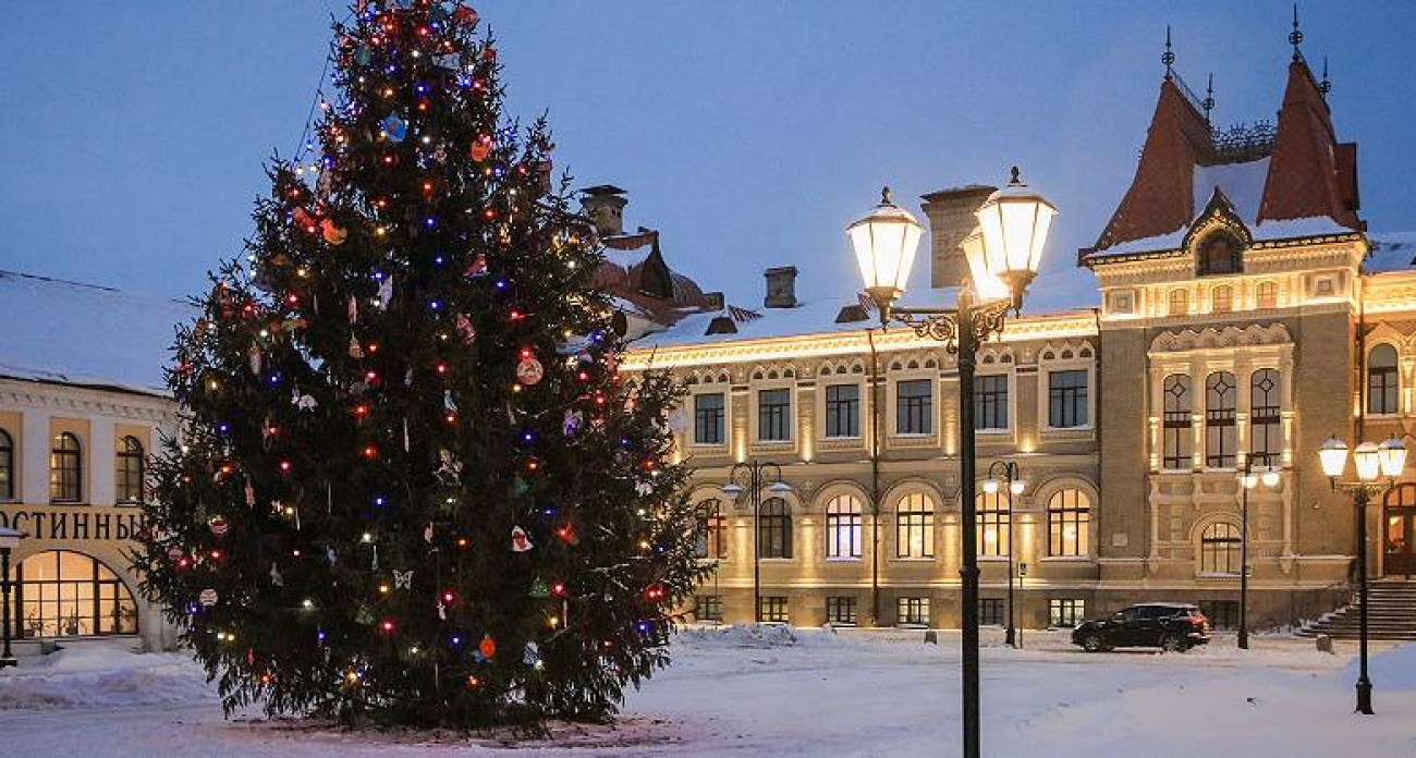 Рыбинск ищет идеальные ели для Нового года: выпилят и вывезут бесплатно