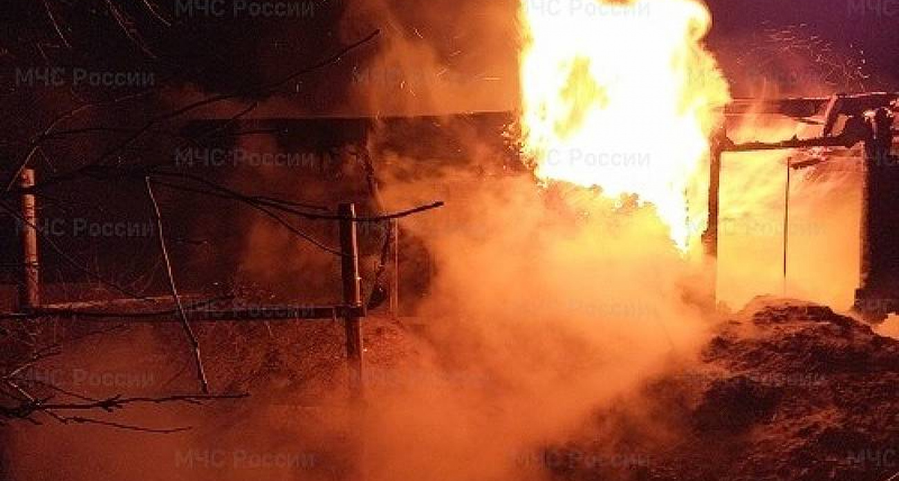 Пожар в Юркино унес жизни 61 животного: две коровы, бык и 50 кур погибли в огне