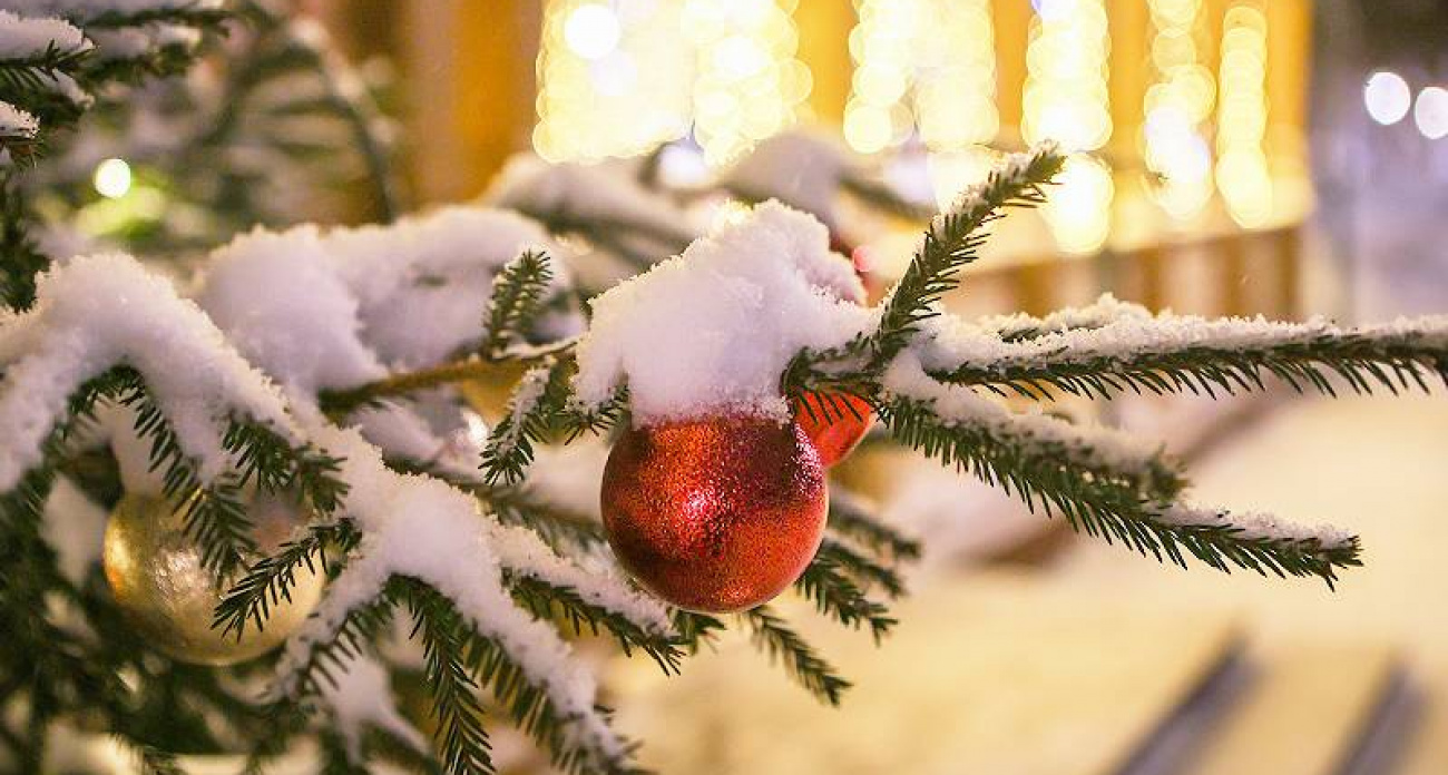 Елки в Рыбинске подорожали до 1000 рублей за метр: открылись 8 новогодних базаров