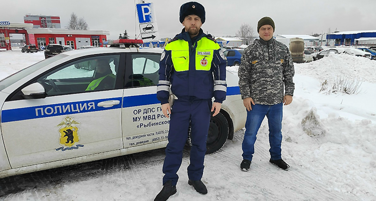 "Не рубите, мужики": операция "Ёлочка, живи" развернулась в лесах под Рыбинском