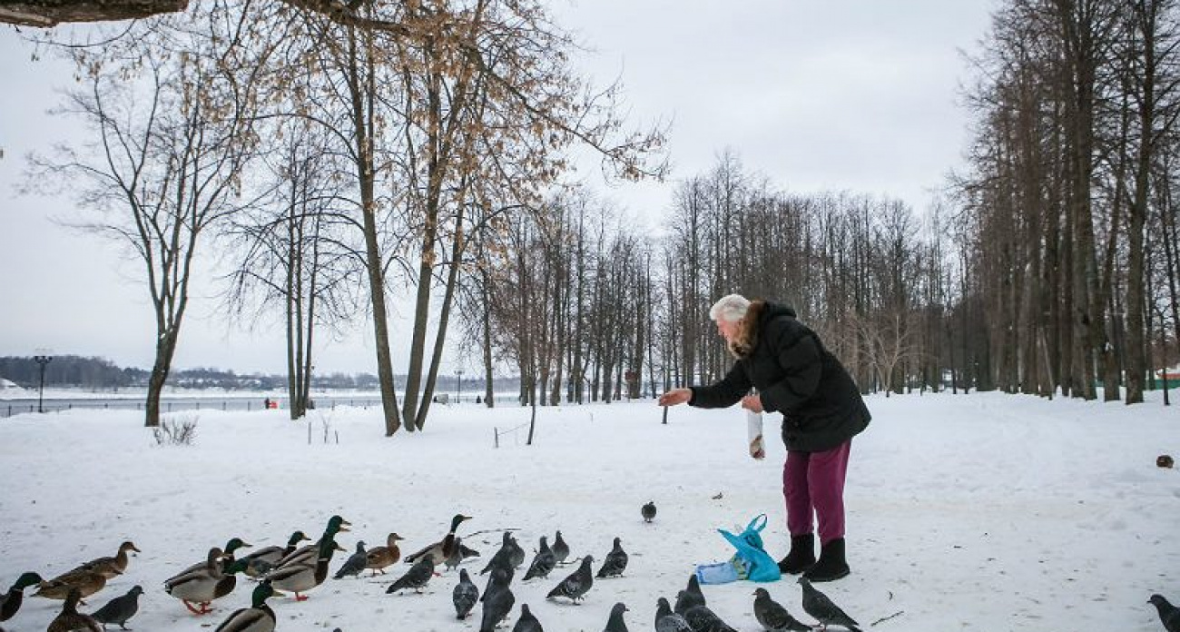 84-летнего рыбинца сбили во дворе и бросили умирать: водитель скрылся