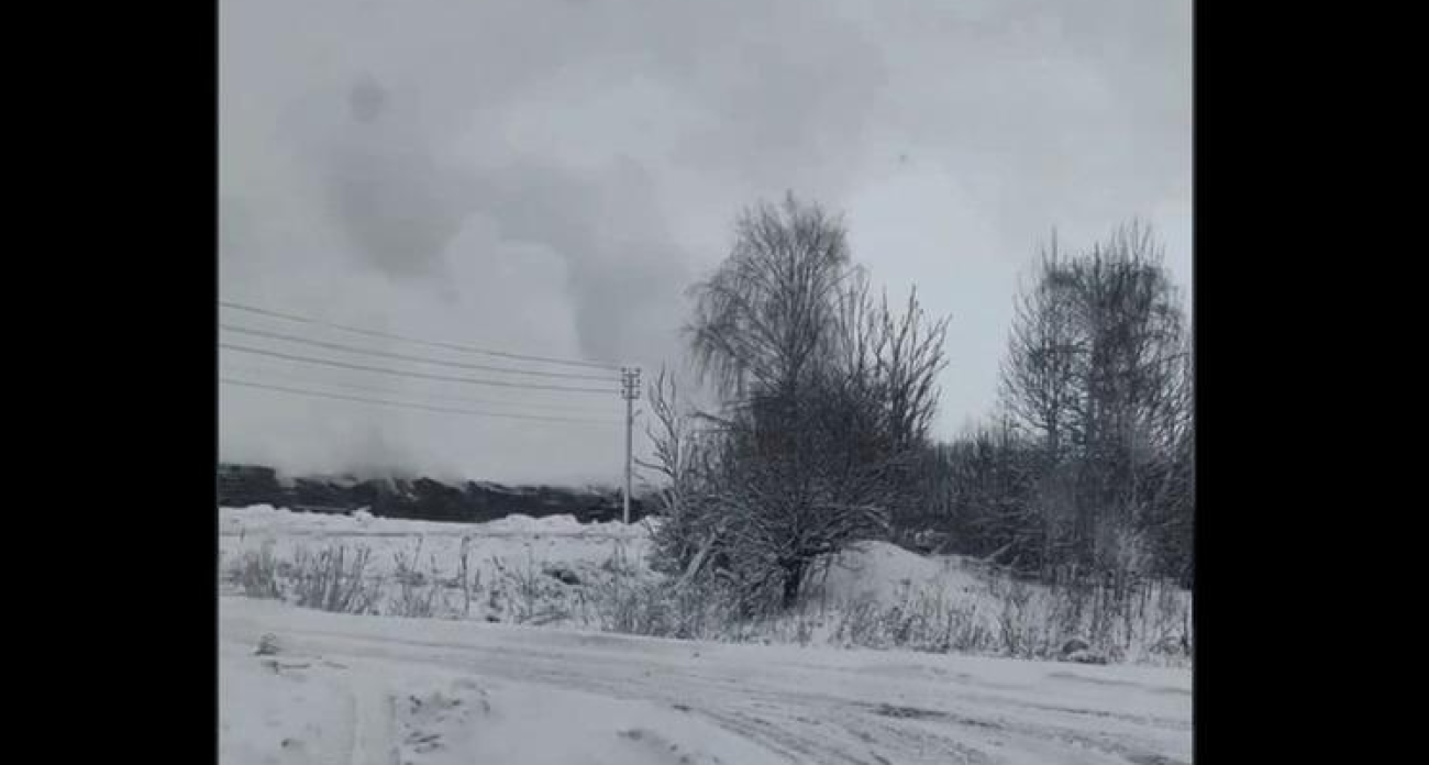 Бастрыкин потребовал отчет о проверке сжигания кур в Рыбинске