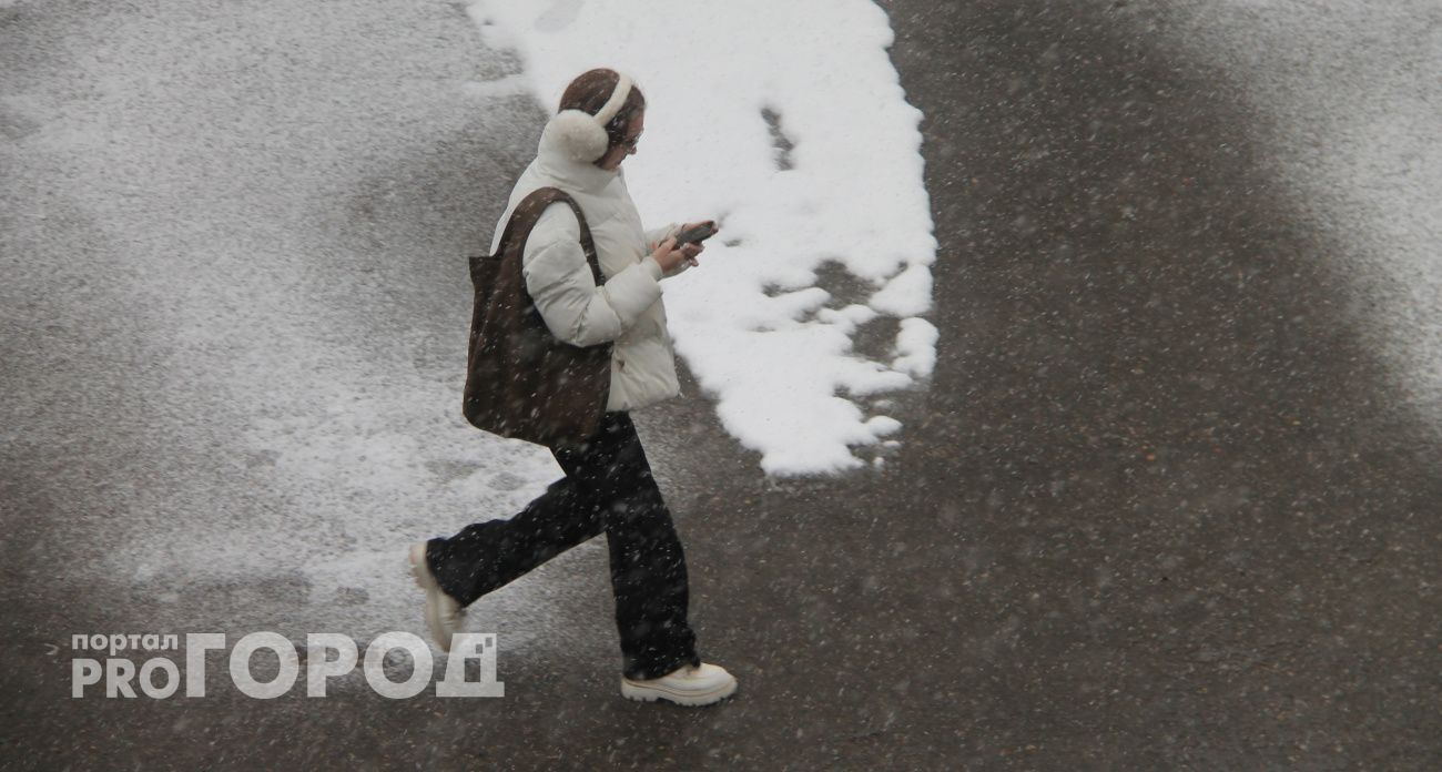 Электронный дневник обошелся семье из Рыбинска в 215 тысяч рублей