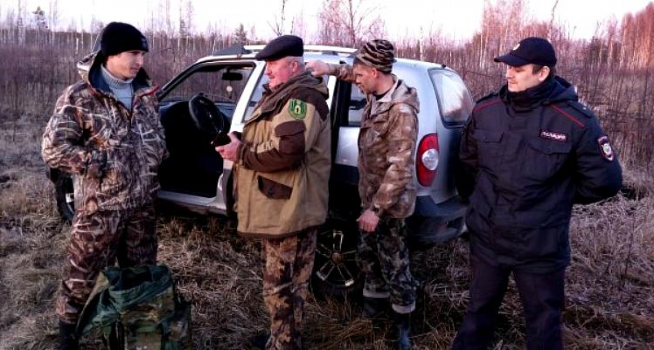 Охота на волка продлена до марта: все остальные звери под защитой