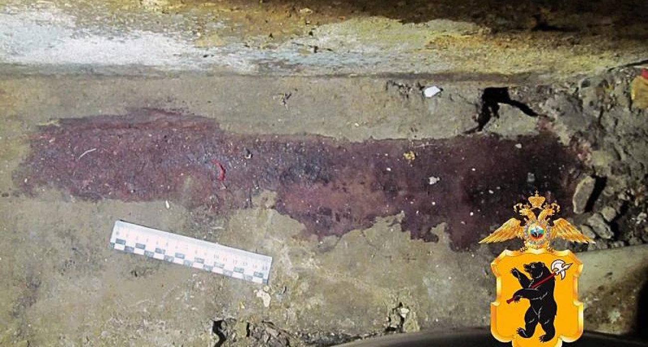 21-летний сын задушил лежачую мать и ее сожителя в пьяной ссоре