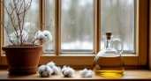 1 капля на ватный диск — и на подоконник: мухи обходят дом стороной, а аромат наполняет комнату