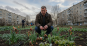 Непредвиденные заморозки вернутся и погубят урожай: Вильфанд предупредил россиян о природном испытании