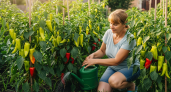 В середине июля перцы только этого и ждут: 3 ложки в ведро — и завязи крепкие, а плоды растут без остановки — до 10 кг урожая с куста
