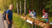 Туриста из Германии удивила торговля грибами и ягодами на обочинах дорог в России