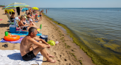 Купаться нельзя, все остаются на берегу: Азовское море огорчило отдыхающих неожиданным сюрпризом