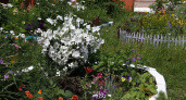 Рекордные 167 участников: двор на Кулибина-10 стал самым цветущим в Рыбинске