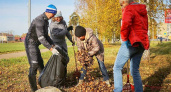 В Рыбинске стартуют массовые субботники: листву превратят в компост для городских парков