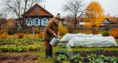 Залог богатого урожая: 5 вещей, которые нужно успеть сделать на участке до зимы