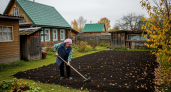 Агроном из Тимирязевки раскрыла секрет компоста за один сезон: литр кефира творит с землёй то, чего не добиться химией