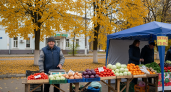 Обычные пакеты и 10 проколов: свекла пролежит до мая сочной, как будто вчера с грядки