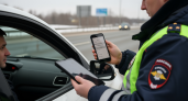 Инспекторы ДПС начали проверять смартфоны на трассах — простая инструкция для водителей по защите своих прав