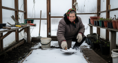 Старинная снежная мудрость от деда: как простой февральский трюк превратит ваш огород в предмет зависти всей округи