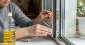Строители научили меня чистить окна подсолнечным маслом — теперь грязь отходит за секунды без химии