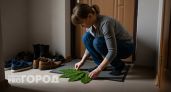 Лавровый лист под ковриком решает проблемы дома — проверенный способ наших бабушек работает