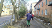 В Рыбинске убирают больные ветки и превращают их в мульчу для газонов