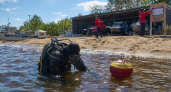 35 пляжей Ярославской области откроются 1 июня: водолазы уже проверяют дно