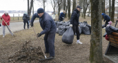 3700 рыбинцев вывезли 430 кубометров мусора на всероссийском субботнике