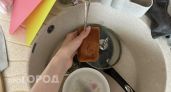 Перестаньте мыть посуду губкой: она опаснее унитаза, поэтому практичные европейцы перешли на эти щетки
