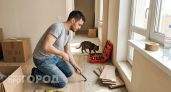 Выкиньте ламинат из дома пока не поздно: почему натуральное дерево бережет здоровье и служит десятилетиями