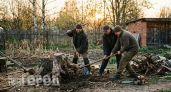 Хватит мучиться с лопатой: узнал простой китайский способ удаления пней, который сэкономит вам кучу сил