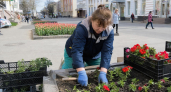 В Рыбинске к 9 Мая высадят 25 тысяч тюльпанов на набережной и бульварах