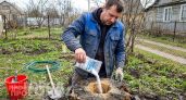 Забудьте про лопату и лом: насыпьте это на пень и он рассыплется в труху за считанные месяцы без усилий