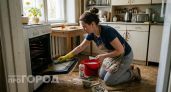 Больше никакой каторги по субботам: как польские хозяйки поддерживают дома безупречный порядок без усилий